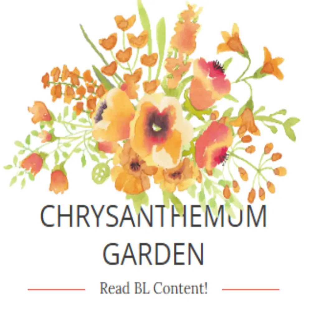 Chrysanthemum Garden poster